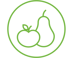 Lifestyle-and-Diet-Green